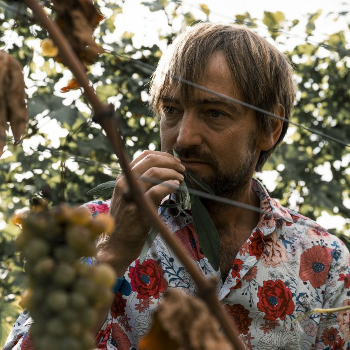 domaine-les-dryades-portrait