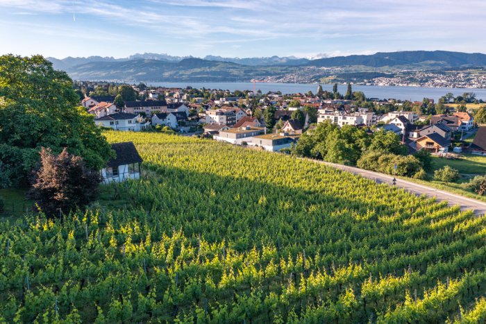 Jet-aussicht-auf-zürichsee