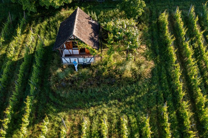 Jet-terroir-uetikon-am-see