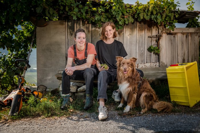 cave-mandole_portrait