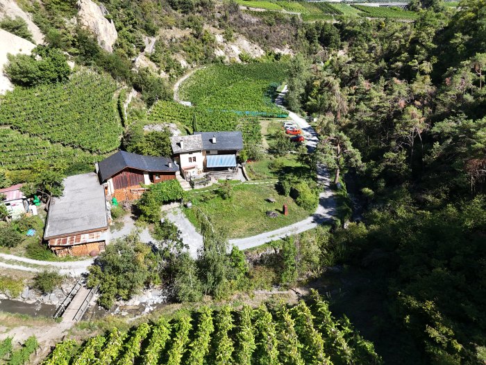 biber-weinberg