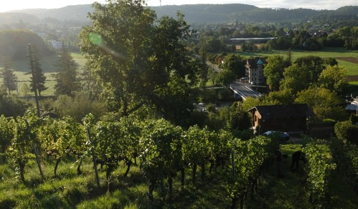 riehen-1
